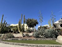 IMG 3502