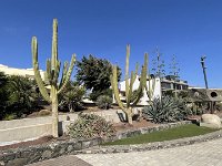 IMG 3529