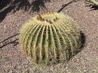 IMG 3533