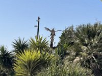IMG 3535