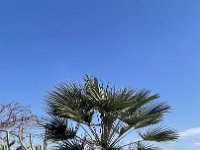 IMG 3536