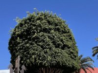 IMG 3546