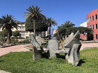 IMG 3554
