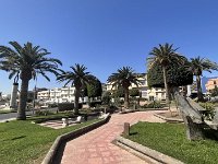IMG 3555