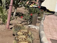 IMG 3557