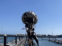 IMG 3563