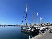 IMG 3682