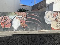 IMG 3731