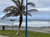 IMG 3891