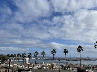 IMG 3914