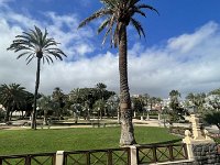 IMG 3946