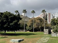 IMG 3965