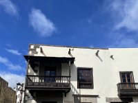 IMG 3980