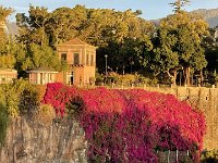 IMG 4195