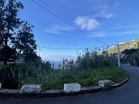 IMG 4235