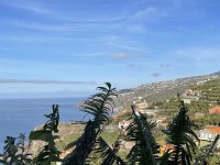 IMG 4249