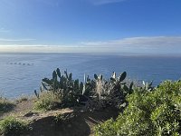 IMG 4271