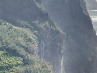 IMG 4286