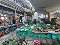 IMG 4300
