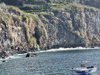 IMG 4378