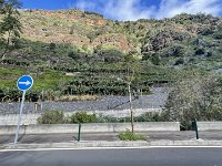 IMG 4398
