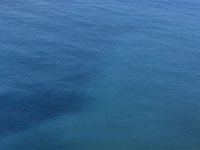 IMG 4429