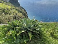 IMG 4436