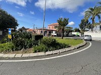 IMG 4458