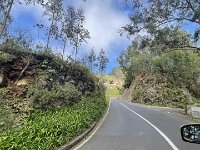 IMG 4476