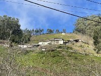 IMG 4480