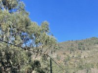 IMG 4495(1)
