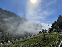 IMG 4586