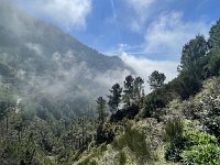 IMG 4594