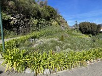 IMG 4596
