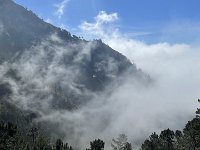IMG 4604