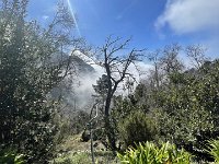 IMG 4609