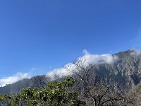 IMG 4622