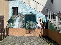 IMG 4656