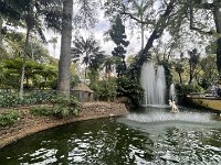 IMG 4708