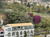 IMG 4876