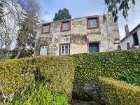 IMG 4948