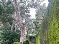 IMG 4952