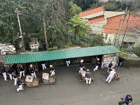 IMG 4961