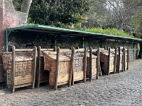 IMG 4963