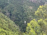 IMG 4980