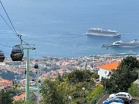 IMG 5008