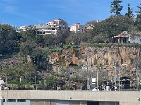 IMG 5124