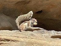 IMG 5486