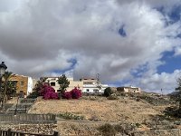 IMG 5518