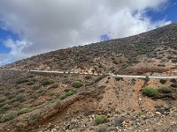 IMG 5540